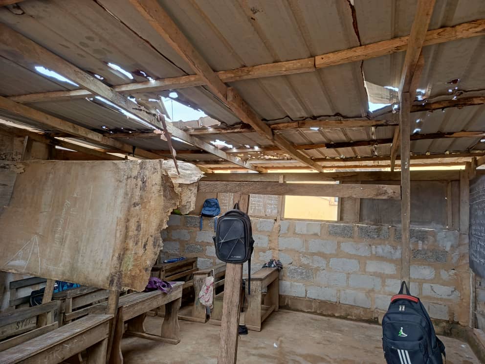 Trip 5 (2024) — trip moment