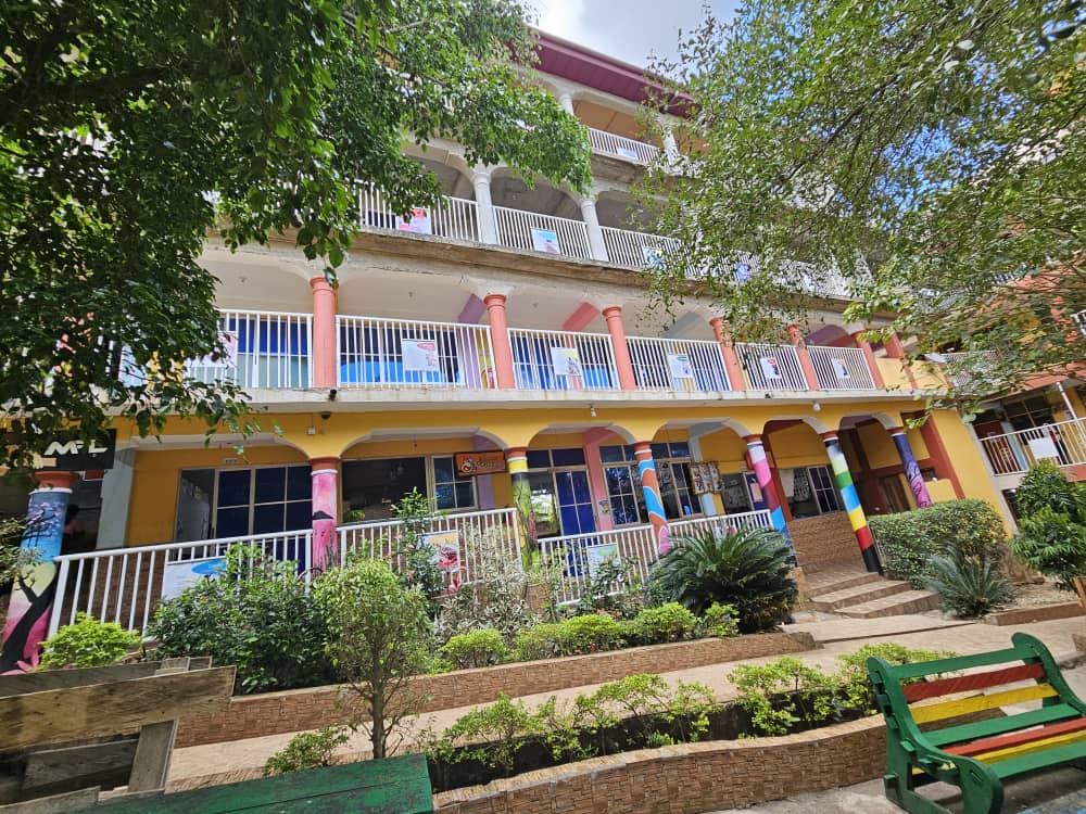 Trip 5 (2024) — trip moment